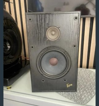 Altavoces Vieta 120W 8ohm