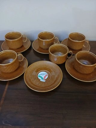 Servizio 6 tazze e piattini Pagnossin