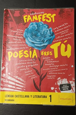 Lengua castellana y literatura 1 Secundaria