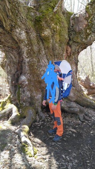 Mochila Portabebés Trekking Osprey Poco
