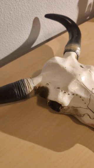 Calavera decorativa de toro
