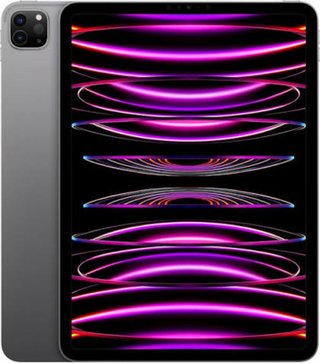iPad Pro 11 Wi-Fi (4ª Gen) Gris