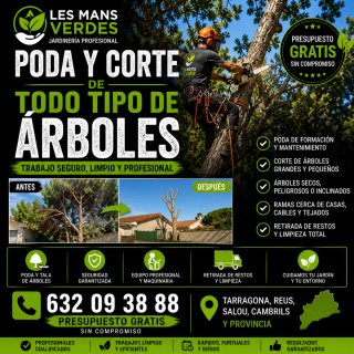 PODA Y CORTE DE ÁRBOLES | TRABAJO PROFESIONAL