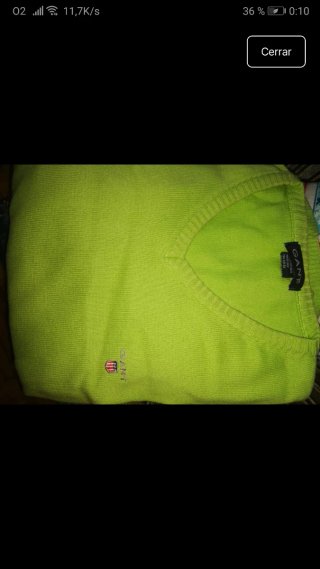 Jersey verde Gant V