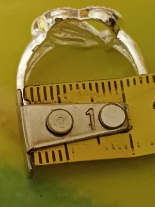 Anello cuore con delfino in argento