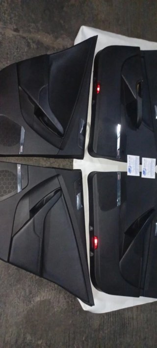 Paneles Puerta Cuero Passat B6 Dinaudio