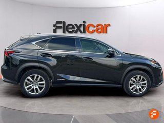 Lexus NX 2.5 300h Business 2WD
