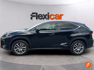 Lexus NX 2.5 300h Business 2WD