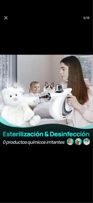 Limpiadora a vapor portátil REDHUT
