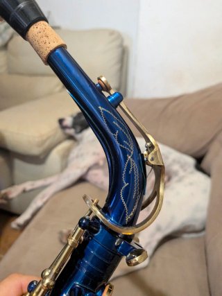 Saxo Alto Blade gama media