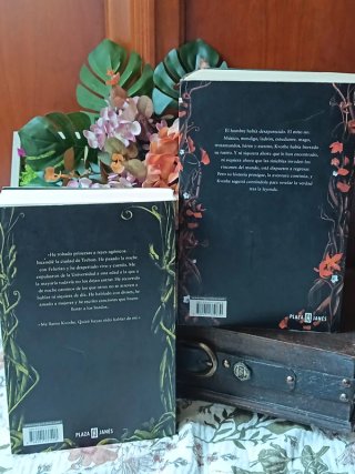 El Temor de un Hombre Sabio (Primera Edición)