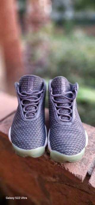 Nike Jordan Horizon Gris