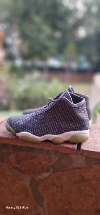 Nike Jordan Horizon Gris