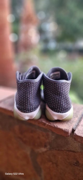 Nike Jordan Horizon Gris