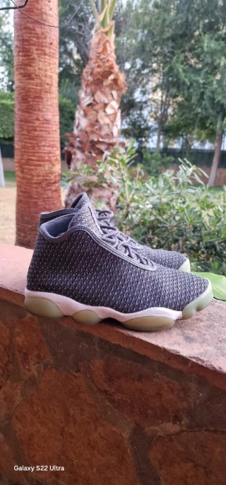 Nike Jordan Horizon Gris