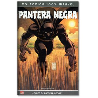 PANTERA NEGRA 100% MARVEL ¿QUIÉN ES PANTERA NEGRA?