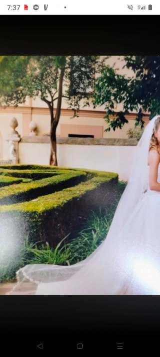 Velo de Novia Pronovias Blanco