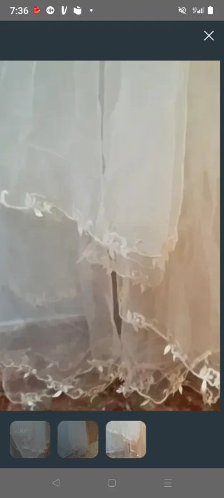 Velo de Novia Pronovias Blanco