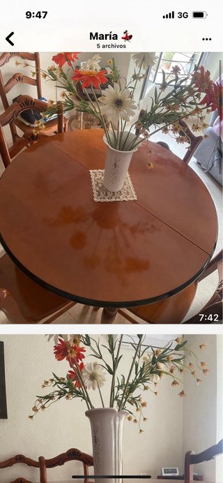 Mesa de comedor con 6 sillas