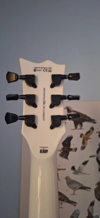 Ltd EC-256 Snow White Seymour Duncan