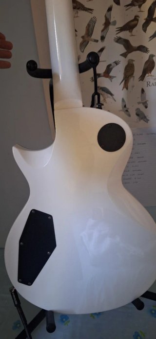 Ltd EC-256 Snow White Seymour Duncan