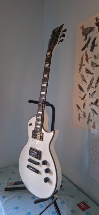 Ltd EC-256 Snow White Seymour Duncan