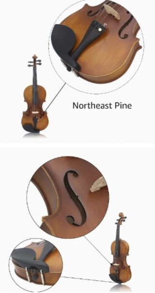 Violín Northeast Pine