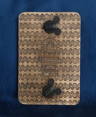Lote 2 Pins Disney DLP Tarot Limited Edition 800