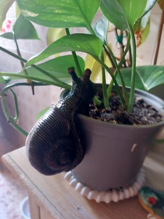 Figura Caracol per fioriere