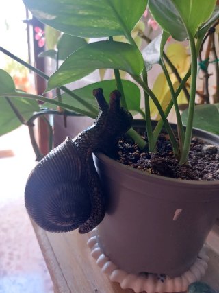 Figura Caracol per fioriere