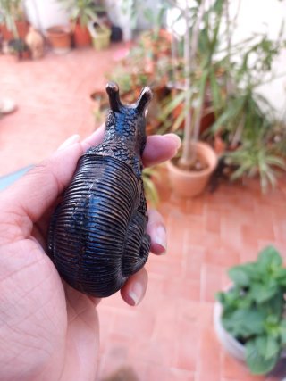 Figura Caracol per fioriere