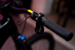 Bicicleta Eléctrica Amflow PX Carbon