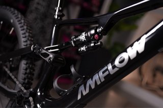 Bicicleta Eléctrica Amflow PX Carbon