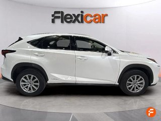 Lexus NX 2.5 300h Business 2WD