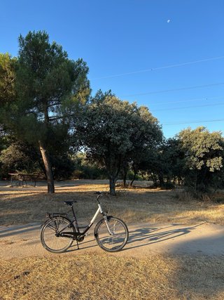 Bicicleta híbrida Giant