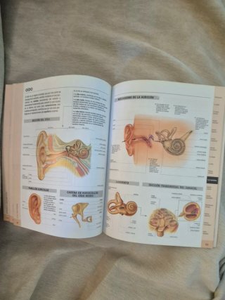 Atlas de anatomía