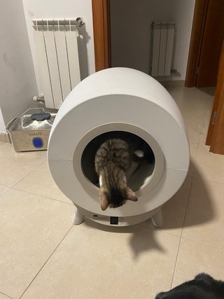 Arenero automático para gatos