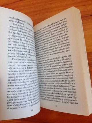 La loca de la casa de Rosa Montero