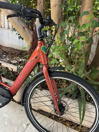 Bicicleta Orbea Optima
