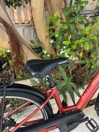 Bicicleta Orbea Optima
