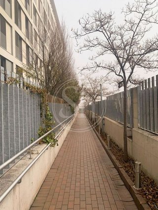 Piso en alquiler en Sanchinarro en Madrid