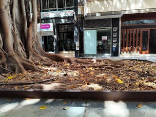 Local comercial en alquiler en Centro en Almería