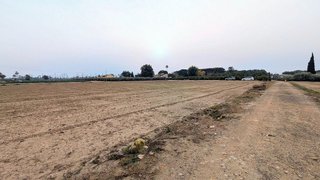 Casa rural en venta en La Algoda - Matola - El Pla en Elche