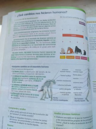 Geografía e historia, 1 ESO, Comunidad en red