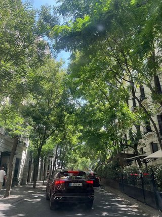 Piso en alquiler en Recoletos en Madrid