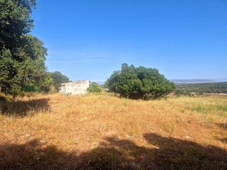 Terreno en venta en Vejer de la Frontera
