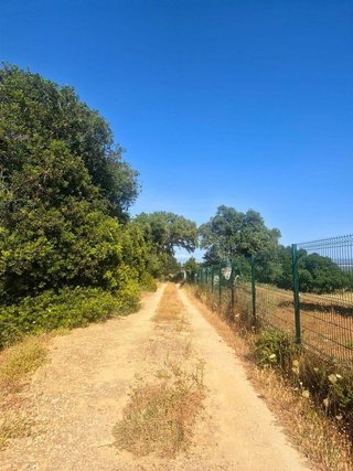Terreno en venta en Vejer de la Frontera