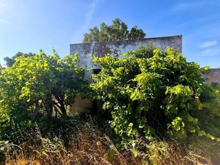 Terreno en venta en Vejer de la Frontera
