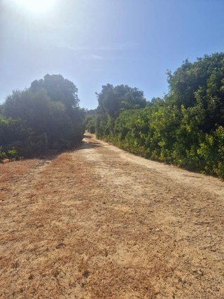 Terreno en venta en Vejer de la Frontera
