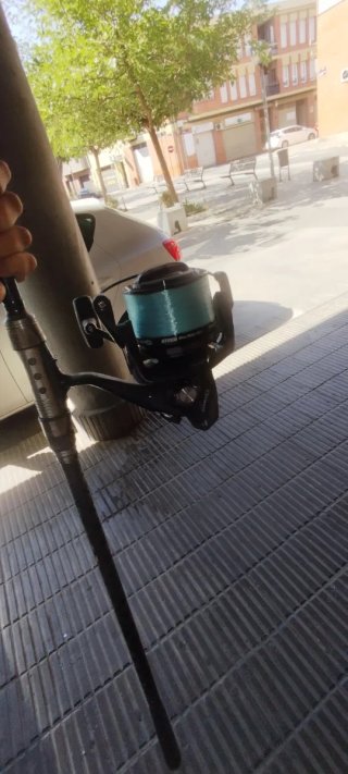Caña de pesca carpa